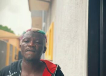 DOWNLOAD Portable – 20 Million Dollars mp3