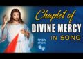 DOWNLOAD The Chaplet Of divine Mercy Song mp3