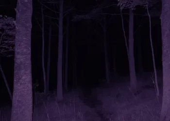 DOWNLOAD Vandalism – Bleach mp3