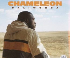 DOWNLOAD Daliwonga – Gumba Fire Ft. DJ Maphorisa, Kabza De Small, Mkeys MP3