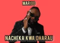 DOWNLOAD Marioo – Nacheka Kwa Dharau mp3