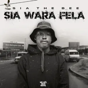 Hlaba o be wete mp3 Download Audio lyrics by Sia_TheBee Ft. Mr Kay, Dimphowadiwave, BigBaller_Ceo