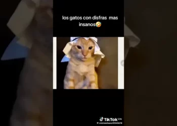 DOWNLOAD Ah2 - Down on the Floor (Vox) mp3