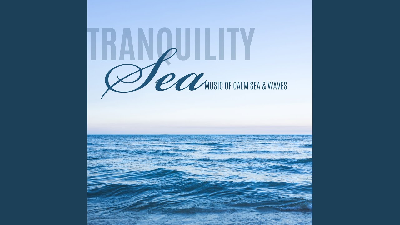 Sea Dreams Music Universe Seagulls & Sea mp3 download