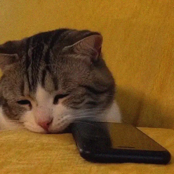 DOWNLOAD Kilim Müzik - Held Between Moments mp3