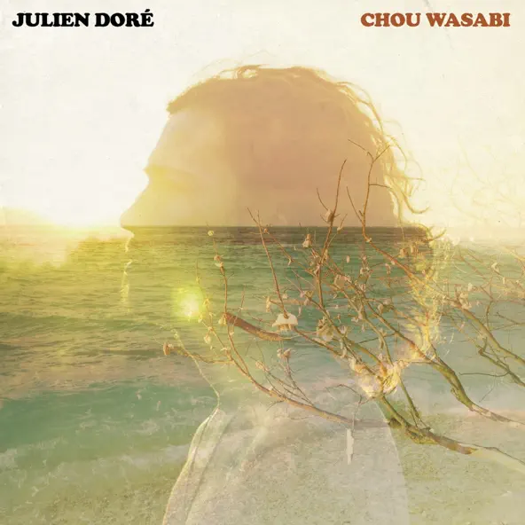 DOWNLOAD Julien Doré - Chou Wasabi (Radio Edit) Ft. Micky Green mp3