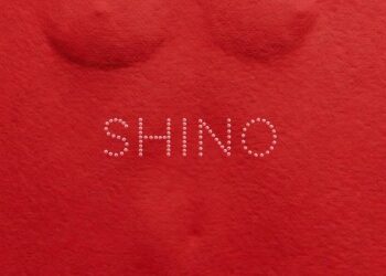 DOWNLOAD Skiibii – SHINO ft. Oxlade mp3