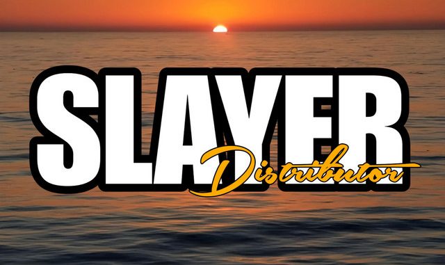 DOWNLOAD Slayer FIJI – You (Jaydii) mp3