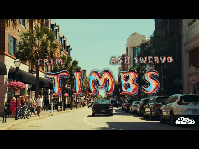 DOWNLOAD Trim - Timbs Ft. Ashswervo mp3